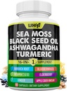 Wixar Sea Moss 3000mg Huile de graines noires 2000mg Ashwagandha 1000mg Turmeric 1000mg Bladderwrack 1000mg Burdock 1000mg & Vitamine C & D3 avec Elderberry Dandelion Yellow Dock Chlorophyll ACV - 90 capsules