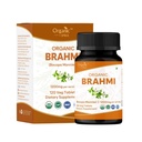 Brahmi 120 comprimés – Supplément biologique de Bacopa Monnieri de l'USDA – Supporte Focus, Calme et Mémoire – Nootrope à base de plantes*