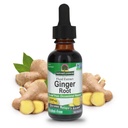 Nature's Answer Ginger Root Alcohol Free Extract 1 Ounce-