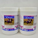 SUPER B-Plex Vitamines équines en poudre - Supplément complet B-Complex Vitamines et minéraux de chevaux - Hooves sains, globules rouges, poudre calmante de cheval - 2,5 livres, (2 paquets)