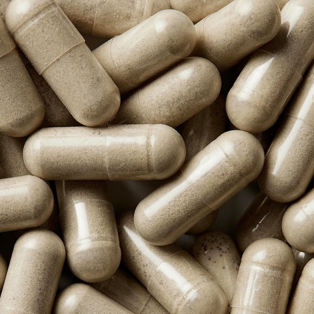 WELLBEL Femmes + Supplément propre pour cheveux, peau et ongles, végétalien, sans gluten, non OGM 90 Compte