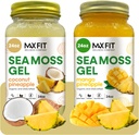 Sea Moss Gel Organic Raw (Bundle of 2 Jars 24oz) Coconut Pineapple and Mango Pineapple Wildсrafted Gold Sea Moss Gel from Saint Lucia | 92 Vitamins and Minerals | Pure Raw+Non-GMO | Vegan Superfood