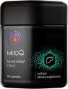 MitoQ +Liver Premium CoQ10 Antioxidant - Contains Mitoquinol Mesylate, Choline, Milk Thistle, Selenium - Supports Metabolism, Liver Health, Body’s Natural Detoxification & Cell Vitality (60 Capsules)