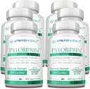 Pyloriprine scientifique approuvée - Soutien digestif avancé pour un stomach sain - Zinc L-Carnosine, Probiotique, Broccoli Sprout, L'alcool déglycyrrhisé - 360 capsules - six mois d'approvisionnement - végétalien