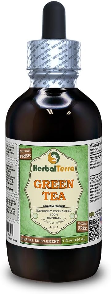 Thé vert (Camellia Sinensis) Glycérite, feuilles séchées biologiques Extrait liquide sans alcool (marque : HerbalTerra, fièrement fabriqué aux États-Unis) 4 fl.oz (120 ml)