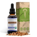 Racine d'échinacée Teinture biologique USDA Extrait sans alcool, gouttes à base de plantes à haute puissance, santé du système immunitaire