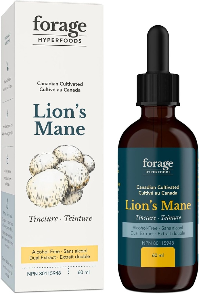 Teinture de lion, avec extrait de champignons Premium, pour l'amélioration de la mémoire et le soutien nerveux, double extrait, sans alcool, 60 ml