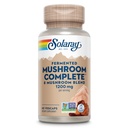 Solariay Champignon Fermenté Complète - Chaga biologique, Reishi, Shiitake, Cordyceps, dinde Champignon de queue et Lions La Mane Complément Capsules - 8 Champignon Supplément - Non-OGM, 30 portions, 60 VegCaps