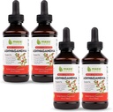 Maxx Herb Ashwagandha Extract – Max Strength Liquid Tincture Absorbs Better Than Capsules or Powder - for Stamina, Memory, and Immune Support – 4 Bottles, 4 Oz Each (240 Servings)