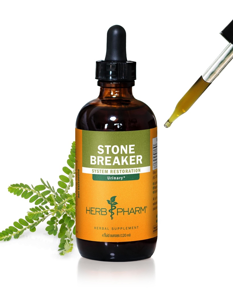 Broyeur de pierre de pharm (Chanca Piedra) composé pour le soutien du système urinaire - 4 once