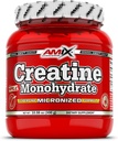 Amix Créatine monohydraté - Poudre 300 grammes