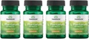 Swanson L. Plantarum - Supplément digestif Promotion de l'équilibre gastro-intestinal et de la régularité du Bowel - Formule naturelle pour aider à réduire le ballonnement - (30 Capsules de légumes) 4 Pack