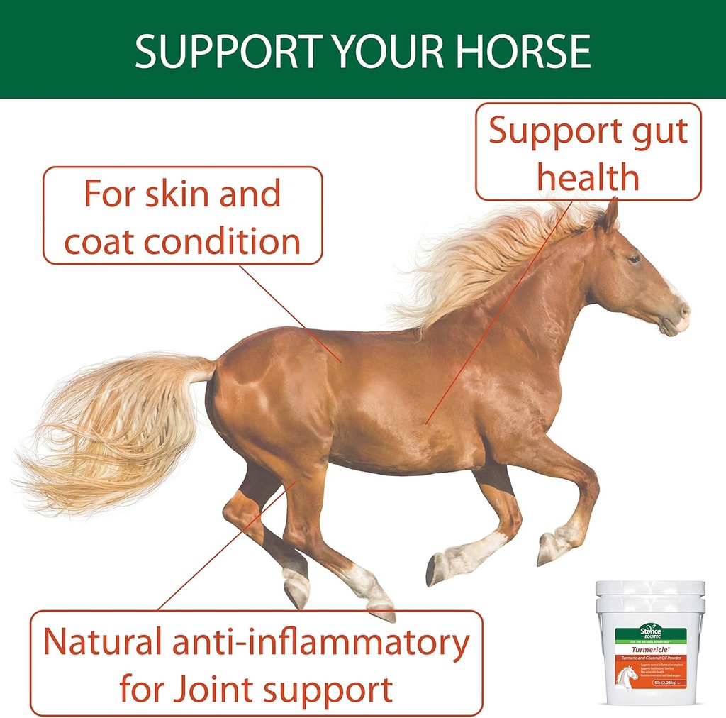 Natural Turmeric Powder for Horses with Powdered Coconut Oil - Turmericle Anti-Inflamatory Horse Supplement for Healthy Hip & Joint Function - Normal Skin Health