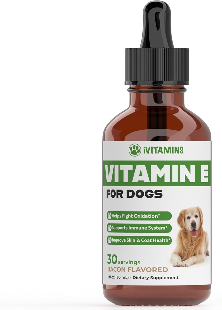 Vitamine E pour chiens Vitamine E pour chiens Vitamine E pour chiens Vitamine E pour chiens Vitamine E pour chiens Vitamine E Supplément Vitamine E pour chiens Vitamine E pour chiens Vitamine E pour chiens Vitamines pour chiens