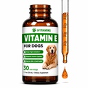 Vitamine E pour chiens Vitamine E pour chiens Vitamine E pour chiens Vitamine E pour chiens Vitamine E pour chiens Vitamine E Supplément Vitamine E pour chiens Vitamine E pour chiens Vitamine E pour chiens Vitamines pour chiens