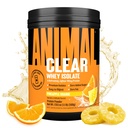 Poudre de protéines de lactosérum - Facile à digérer et à mélanger, 5g BCAA, Délicieusement juteux, rafraîchissant à tout moment pour les hommes et les femmes, Ananas Orange 500g (20 portions)