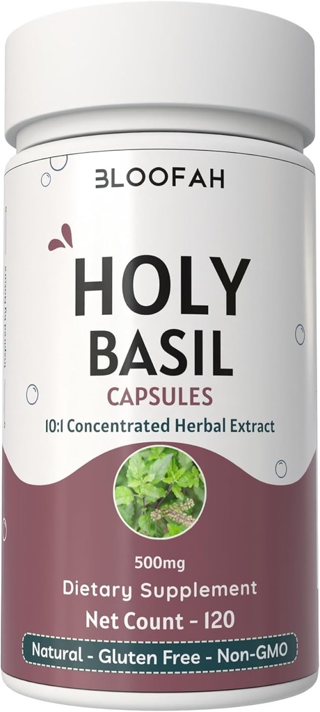 Capsules Saintes Feuilles de Basilic 500mg.Concentré 10:1 Extraire Ocimum tenuiflorum Supplément à base de plantes.