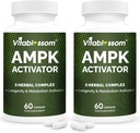 Supplément activateur AMPK, 5 en 1 Jiaogulan Gynostemma AMPK Activateur métabolique 120 Capsules végétariennes(120 Compte(paquet de 2))