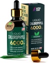 Chlorophylle Liquid Drops 6000 mg - Supplément Chlorophylle Liquid Premium - Antioxydant tout-en-un pour stimuler l'Immune, augmenter l'énergie, soutenir la digestion et désintoxication rapide - Non-OGM, végétalien
