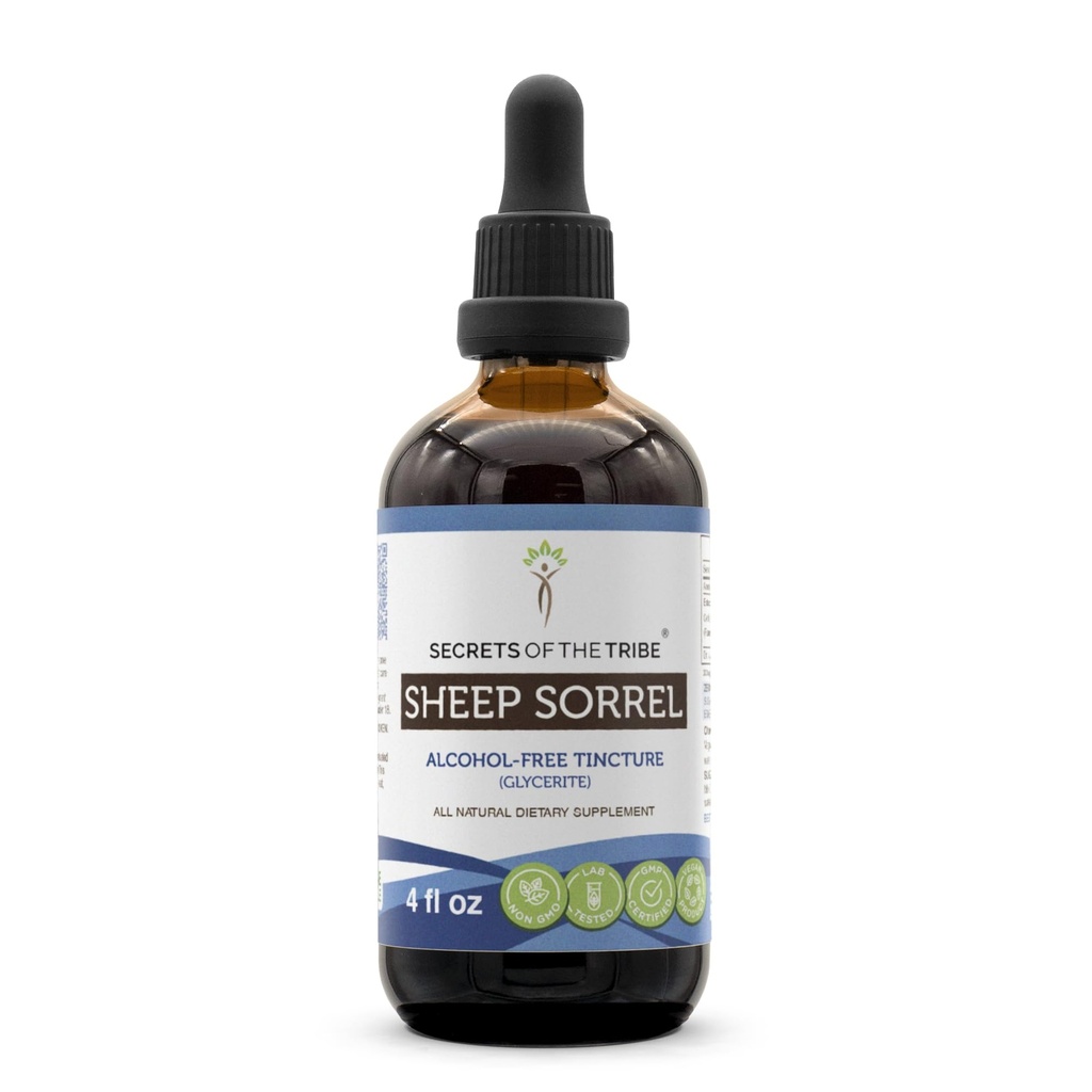 Teinture de sorrel de mouton Extrait sans alcool, sorrel de mouton (Rumex Acetosella) Herbe séchée 4 oz