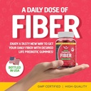 Gommies de fibres prébiotiques sans sucre pour les adultes Enfants supplément de plante mixte de baies parfumées pour les femmes hommes, santé quotidienne digestive Régulière 60 Compte (paquet de 1)