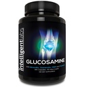 Intelligent Labs Glucosamine et Chondroïtine Complexe haute résistance avec MSM-180 Capsules.