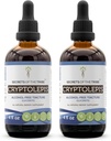 Secrets de la tribu Cryptolepis Tecture Extrait sans alcool, gouttes à base de plantes de haute puissance, Teinture faite de Cryptolepis sauvage Sanguinolenta 2x4 oz