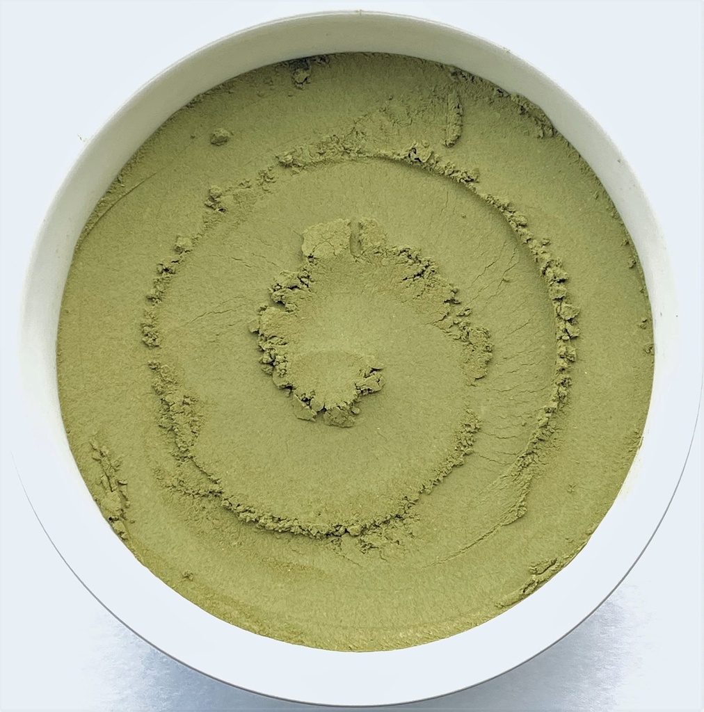 Ginkgo Biloba Poudre de feuille 16oz The Bloomin Herb Shoppe Pas d'additifs Pas de thé chimique