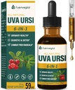 Uva Ursi Ourberry gouttes diurétiques naturelles, la santé urinaire et le nettoyage du rein Detox supplément à base de plantes soutenir UTI et l'eau de sortie, extrait W/Dandelion racine canneberge, teinture sans alcool.2oz
