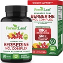ForestLeaf Berberine Supplement - Formule inspirée GLP-1 - 1300mg par portion - HCl berbère ultra-haute puissance avec Ceylan Cinnamon, Bitter Melon & Gymnema - Weight Management Support - 90 capsules