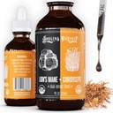 Hodgins Récolte Lion Organique de La Mane + Cordyceps Teinture de Récipient Fabriqué avec des champignons cultivés sur notre ferme aux USA