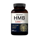 NatureBell HMB 3 000 mg par portion : 300 capsules, 3X Supplément bêta-hydroxy bêta-méthylbutyrate de HMB – Lean Muscle Mass & Recovery Support – Non-OGM