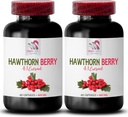 Antioxydant des baies d'aubépine - HAWTHORN BERRIES EXTRACT - capsules d'extraits de baies d'aubépine, poudre d'extrait de baies, énergie des baies sauvages, pilules d'énergie d'aubépine, conditionneur capillaire d'aubépine 2 Bot 120 Capsules