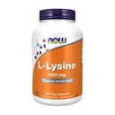 Maintenant, les aliments L-Lysine 500 Milligrammes, 250 comprimés