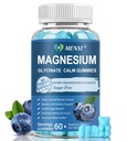 Gommies de magnésium 600mg par portion-glycinat de magnésium 400mg et malate de magnésium 200mg, supplément de magnésium sans sucre pour l'humeur calme, les muscles, les os et le sommeil,60 Gommies de bleuets
