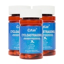 Supplément anti-âge de la TCA Hypersorption Cycloastragenol 98 % 5mg 30 capsules enrobées d'entérique 3boutilles