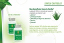Nutrisalud Produits Capsulas de Savila, Aloe Vera Capsules 500mg. Set de 2 frascos 100 capsulas CADA uno.Efectivo Contra ulderas,agruras,mala Digestion,Colite,estreñimiento. Dura mas de 3 Meses.