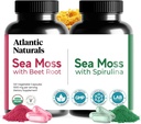 Atlantic Naturals Sea Moss Superfood Bundle - La mousse de mer avec racine de betterave et spiruline Capsules - Soutien de la défense, flux sanguin, santé et fer - 240 Capsules (2 x 120 ct)