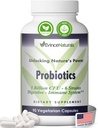 Supplément probiotique et prébiotique - 6 souches de probiotiques régénératifs intenses pour les hommes et les femmes 5 Million CFU - Bowel, Inflammation, Immunité et Soutien digestif - Supplément digestif, 90 Capsules