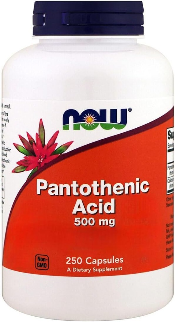 Maintenant aliments, acide pantothénique, 500 mg, 250 capsules