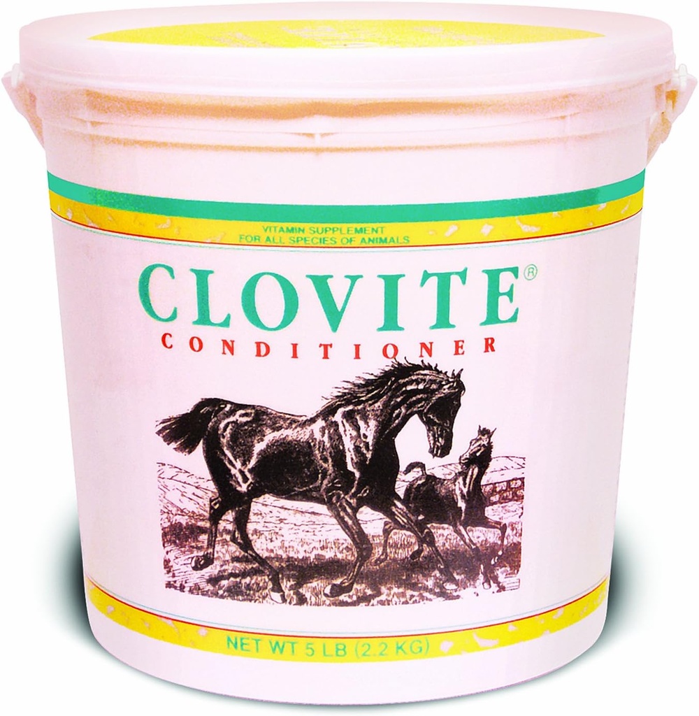 Supplément de vitamine Clovite PFIZER EQUINE
