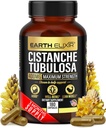 Terre Elixir Cistanche Tubulosa 400 mg (180 capsules) 3 mois d'approvisionnement – Fabriqué aux États-Unis - 3ème partie testée - Supplément Cistanche - Zéro remplissage - Pureté Max - Nootropiques - 100% Cistanche pure Herbe