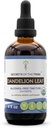 Secrets de la Tribe Dandelion Leaf USDA Teinture organique Extrait liquide sans alcool, Dandelion (Taraxacum Officinale) Feuille séchée (4 FL OZ)