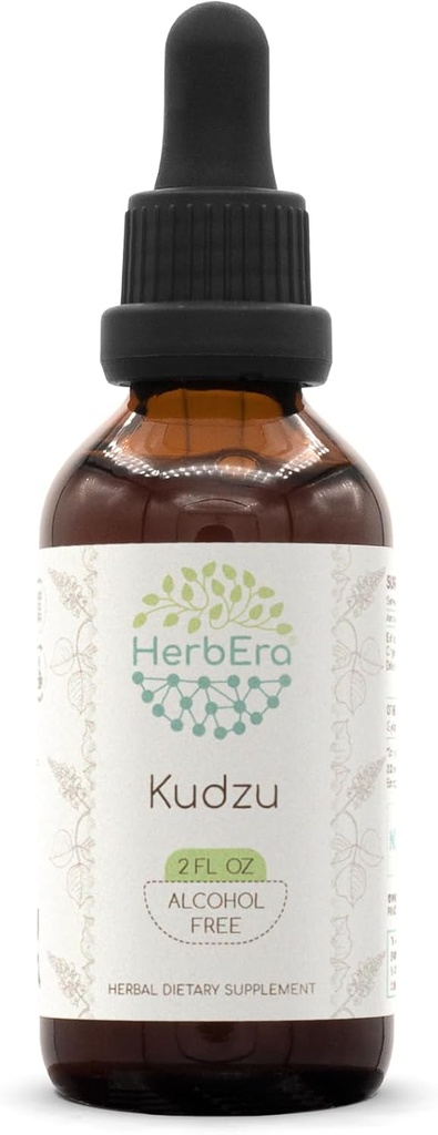 HerbEra Kudzu B60 Teinture d'extrait de plantes sans alcool, gouttes liquides concentrées Kudzu naturel (Pueraria Lobata) 2 fl oz