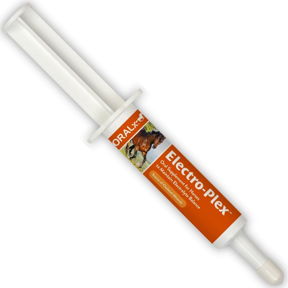 DAONEG Electro-Plex Electrolyte Paste pour Chevaux. Réapprovisionne les électrolytes et les nutriments. Encourage la consommation d'eau. Syringe facile. 1.2 Oz.