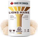 Supplément Lions Mane Poudre Ultra Strength 10:1 Lions organiques Mane Champignon soutenant la mémoire, la cognition, la santé cérébrale, 8 onces / 226 portions