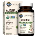 Garden of Life Organics Adrénal Daily Balance, Herbes Adaptogènes Ashwagandha, Saint Basilic, Complexe B et Probiotiques, Organic Non-OGM, Vegan, Supplément sans gluten, Approvisionnement de deux mois, 120 comprimés