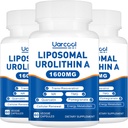 Urolithine A Supplement 1600mg Promouvoir la force musculaire et la production d'énergie, TMG pour les niveaux d'homocystéine sains et Nicotinamide riboside NAD+ Boost pour la longévité - 60 Softgels (3 bouteilles)