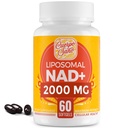 Supplément NAD 2000 MG, NAD+ liposomique avec une absorption élevée, plus efficace que le riboside de Nicotinamide, supplément Pure & Plus Boosting, la défense du vieillissement, le métabolisme et les cellules, 60 softgels