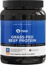 Designs for Sport Beef Protein Powder - NSF Certified for Sport Hydrolyzed Protein - Très absorbant avec des acides aminés, précurseurs de collagène - Protéine de bronzage os pour athlètes (chocolat, 30 portions)